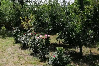 De vanzare teren intravilan 1550 mp cu casa la ro?u Voinesti, jud. Ia?i - 2