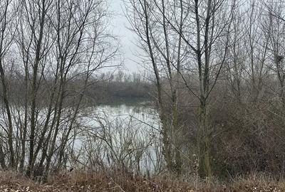 Spațiu comercial, în Batăr - 4