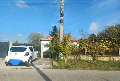 Vand casa comuna Cocu,sat Crucisoara - 3