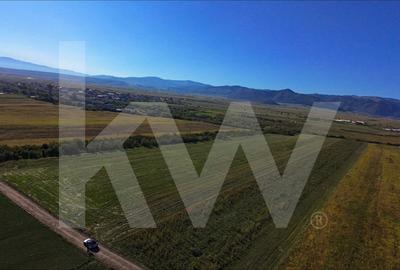 Teren de Vanzare - 18.459 mp cu Potential de Investitie! Cristian- Sibiu - 9