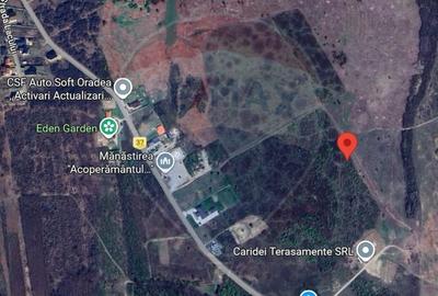 Teren agricol extravilan de 974 mp, în Paleu - 3