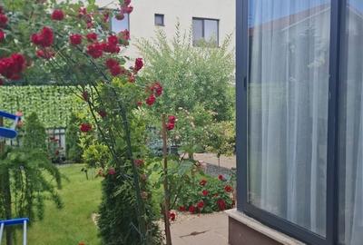 Casă cu 3 camere în Orizont - 3