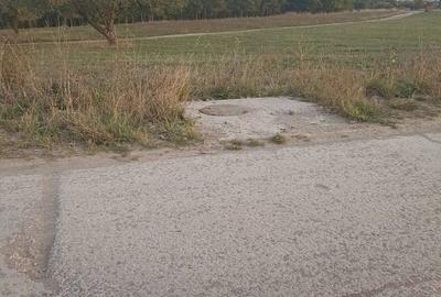 Spațiu comercial, în Arcuș - 7