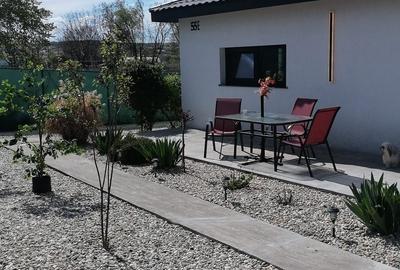 Casă cu 2 camere în Viile Satu Mare - 2