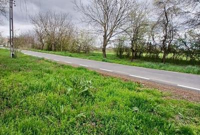 Teren de 6500 mp, în Racovița - 6