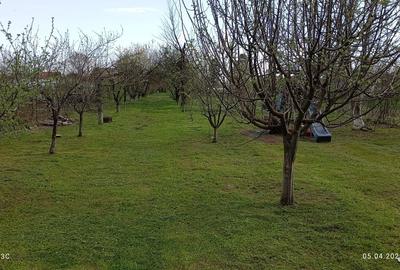 Casa individuala Ogrezeni - 2