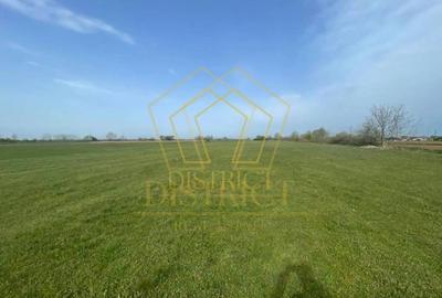 Teren arabil extravilan langa centura de Sud | Giroc Teren arabil extravilan langa centura de Sud | Giroc - 2