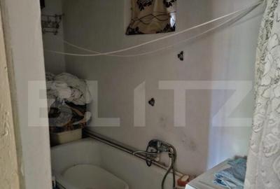 Casa spa?ioasa cu livada, intr-o zona lini?tia la 2 - 6