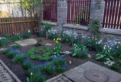 Casă cu 6 camere cu Teren 730 Mp în Simeria - 6