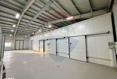 Spațiu comercial, de 700 mp, în Braniștea - 10