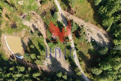 18000 mp de natura pura ,Lupeni, langa Straja - 18