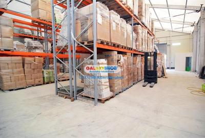 Vanzare hala 400 mp+teren 1500 mp Tunari - 7