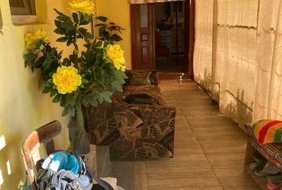 Casă cu 3 camere în Silvașu de Jos - 6