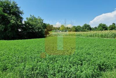 Teren intravilan 4.133 mp cu dublă deschidere – Girov, Neamț | Toma Imobiliare - 5
