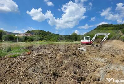 Teren de 3500 mp, în Viișoara - 1