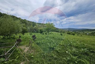 Teren 11,935mp Margineni / Strada Dubas - 2