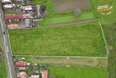 FILM!Potential rezidential investitional: 8.000 mp intravil - 5