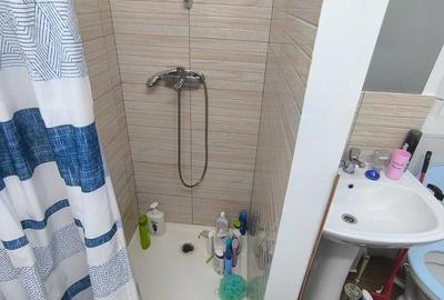 Apartament cu 2 camere decomandat în Cărpiniș - 8