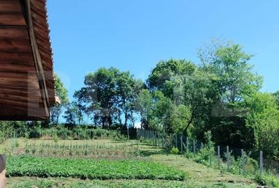 Casa renovabila, 1508 mp teren, Vultureni - 12