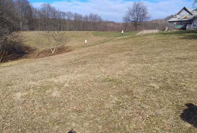 Spațiu comercial, în Borod - 7