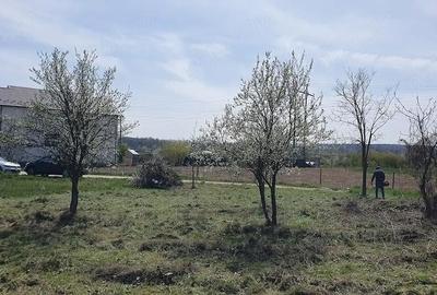 Teren de 500 mp, în Mărăcineni - 3