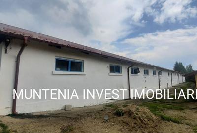 Casă cu 4 camere în Băjești - 15