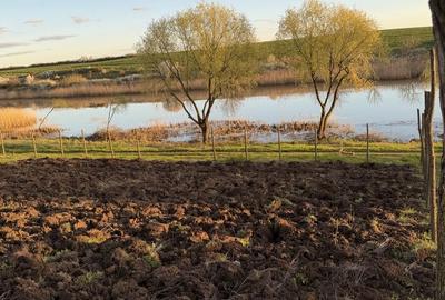 Spațiu comercial, în Valter Mărăcineanu - 8