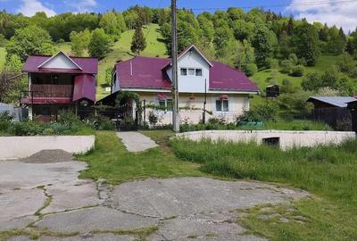 Casă cu Teren 3344 Mp în Dreptu - 8