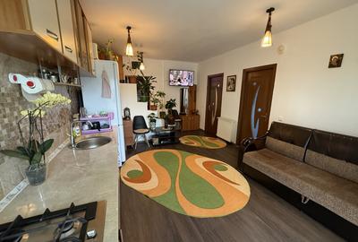 Apartament cu 2 camere semidecomandat, mobilat în Chinteni - 2