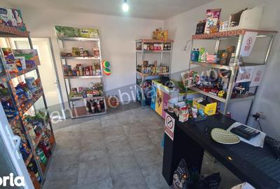 Casă cu 3 camere cu Teren 3877 Mp în Valea Danului - 13