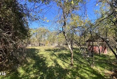 Casă cu 2 camere în Slătioarele - 2