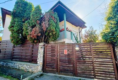 Oportunitate Unică! Casă cu teren, gradina și livadă în Valea Mare-Pitesti - 16