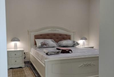 Spre inchiriere 2 camere in zona Noua - 5