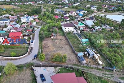 Teren intravilan Bradu, 1700 mp, toate utilitatile disponibile - 5