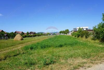 Teren 1,687mp Sighetu Marmatiei / Strada Doboies - 2