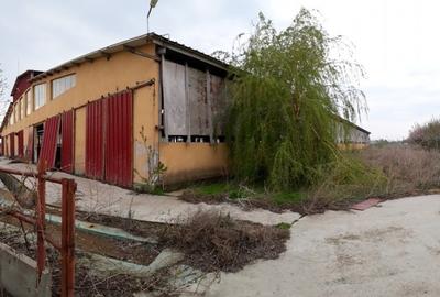 Proprietate specială, de 5,441 mp, în Vâlcelele - 11