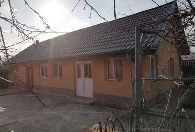 Casa de vanzare Iepuresti Casa de vanzare Iepuresti - 3
