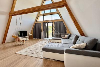 Afacere la cheie, doua case A frame, Salciua Noua - 2