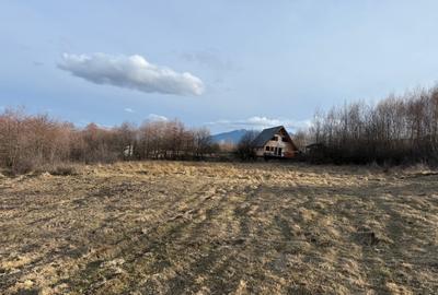 Teren Construcții intravilan de 500 mp, în Tohănița - 2