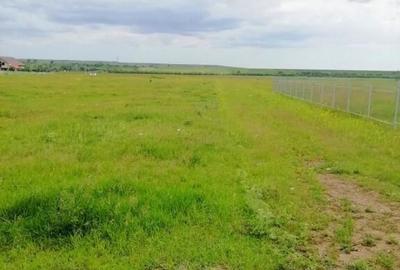 Teren de 1300 mp, în Dumbrava - 1