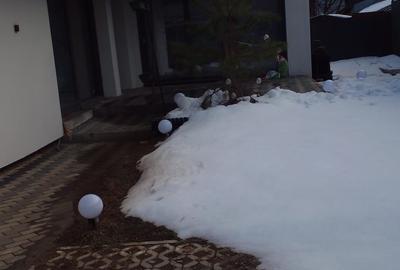 Casă individuală cu 4 camere cu Canalizare în Prelungirea Ghencea - 18