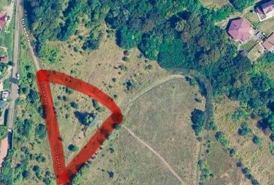 Teren intravilan cu vedere panoramică  4230mp - Mediaș - 3