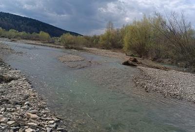 Teren de 500 mp, în Bodești - 6