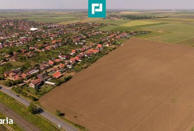 Teren de 28500 mp, în Șofronea - 6