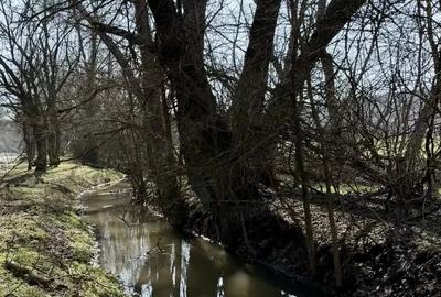 Casă cu 4 camere cu Teren 2000 Mp în Slava Cercheză - 4