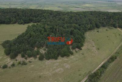 Teren cu priveliște și pădure pentru cabane de vânzare î Teren cu priveliște și pădure pentru cabane de vânzare î - 3
