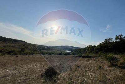 Teren cu parau | 50,000 mp | zona Caianu-Vama | la lizi... - 21