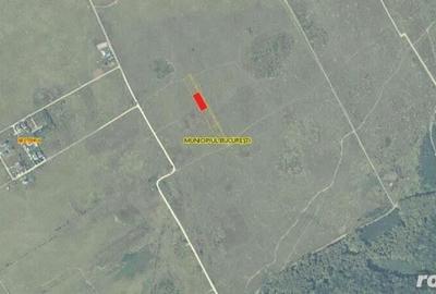 Vanzare teren 2099 mp Jandarmeriei - Padurea Baneasa - 3