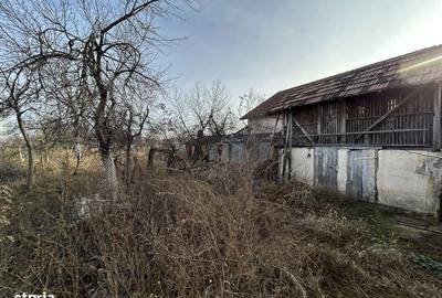 Casă cu 4 camere cu Teren 1484 Mp în Vladimirescu - 15