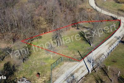 Teren de 1576 mp, în Valea Iașului - 2